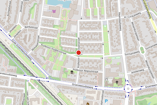 Brandweer-melding op Professor Cornelissenstraat, Nijmegen op 28 juni, kaart-overzicht